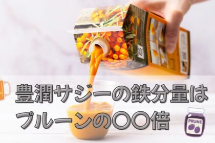 豊潤サジーの鉄分量はプルーンの22.7倍！？吸収を高める飲み方と続けるコツ